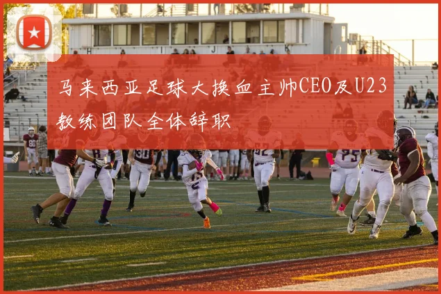 马来西亚足球大换血主帅CEO及U23教练团队全体辞职