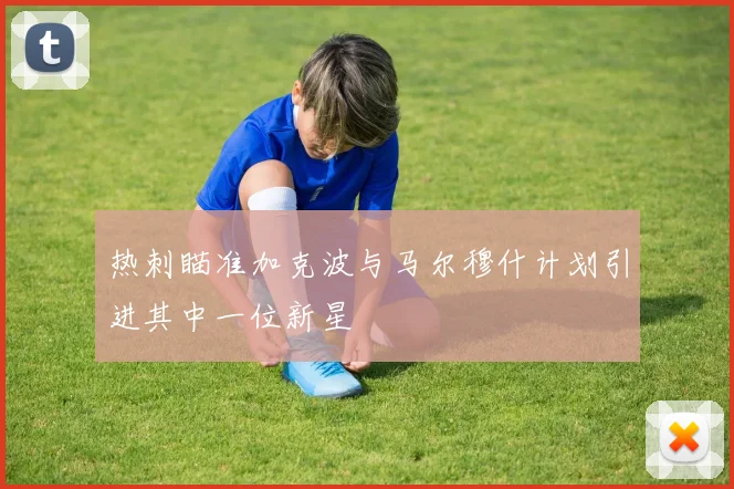 热刺瞄准加克波与马尔穆什计划引进其中一位新星