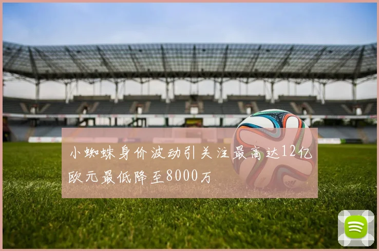 小蜘蛛身价波动引关注最高达12亿欧元最低降至8000万